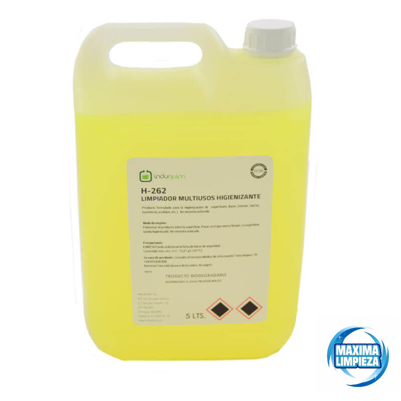 Multiusos desinfectante H-262 (5 L.) - Máxima limpieza - Productos de  Limpieza Industrial